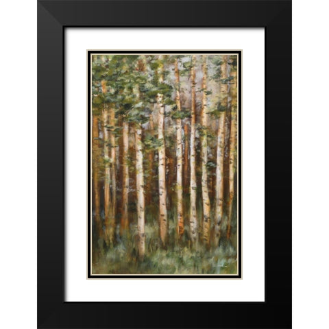 Aspen Beauty III Black Modern Wood Framed Art Print with Double Matting by Lee, Scott