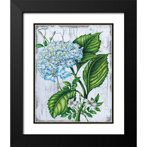 Hydranngea Black Modern Wood Framed Art Print with Double Matting by K, Onna