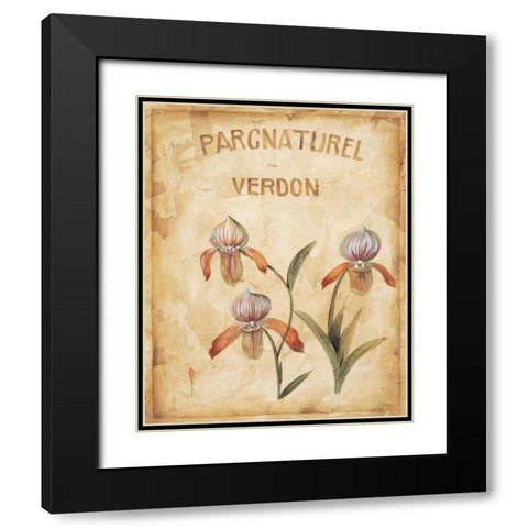Parcnaturel IV Black Modern Wood Framed Art Print with Double Matting by Linza, Loretta