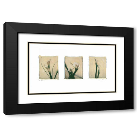 Lilies Black Modern Wood Framed Art Print with Double Matting by Melious, Amy