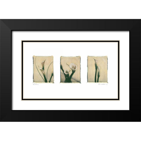 Lilies Black Modern Wood Framed Art Print with Double Matting by Melious, Amy