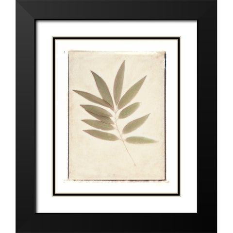 Bay Leaves Black Modern Wood Framed Art Print with Double Matting by Melious, Amy