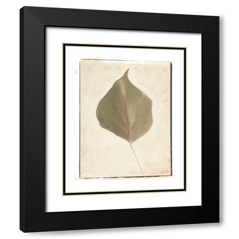 Single Leaf Black Modern Wood Framed Art Print with Double Matting by Melious, Amy