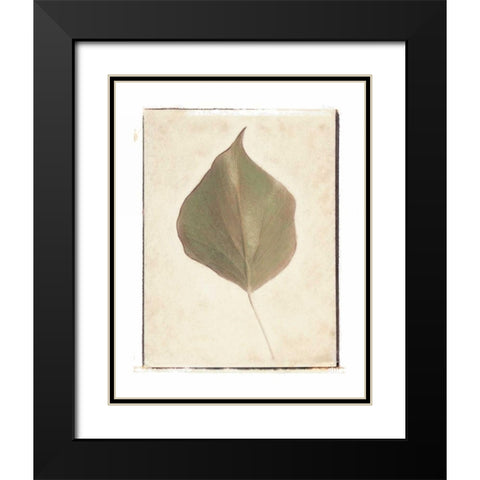 Single Leaf Black Modern Wood Framed Art Print with Double Matting by Melious, Amy