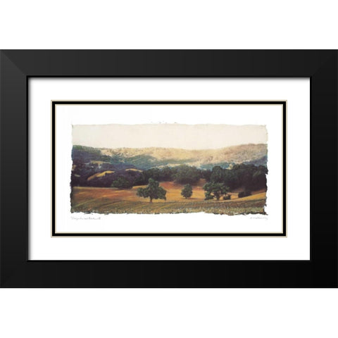 Vineyard and Oak II Black Modern Wood Framed Art Print with Double Matting by Melious, Amy