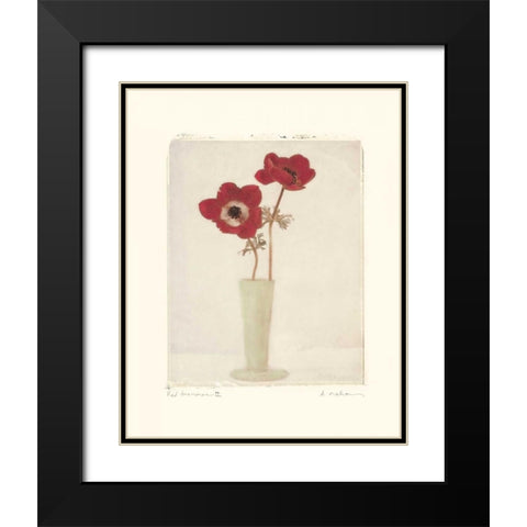 Red Anemones II Black Modern Wood Framed Art Print with Double Matting by Melious, Amy