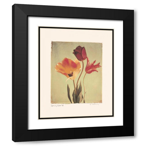 Spring Color III Black Modern Wood Framed Art Print with Double Matting by Melious, Amy