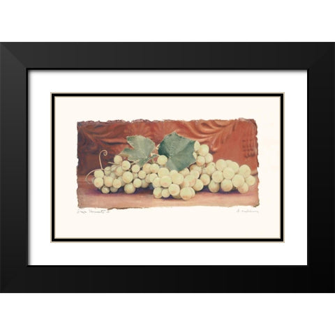 Grape Harvest II Black Modern Wood Framed Art Print with Double Matting by Melious, Amy