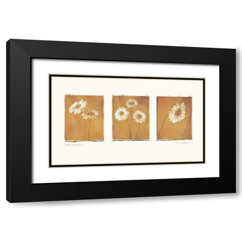 White Gerbers Black Modern Wood Framed Art Print with Double Matting by Melious, Amy