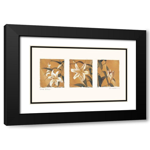 White Lilies Black Modern Wood Framed Art Print with Double Matting by Melious, Amy