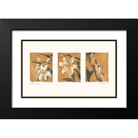 White Lilies Black Modern Wood Framed Art Print with Double Matting by Melious, Amy