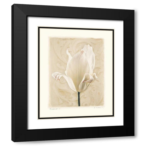Chiaroscuro I Black Modern Wood Framed Art Print with Double Matting by Melious, Amy