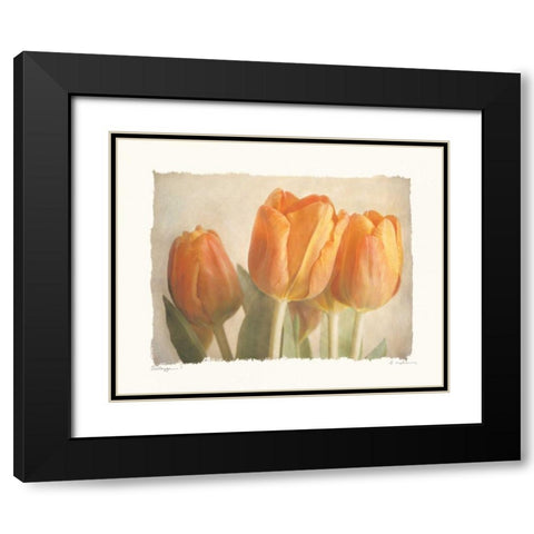 Bellezza I Black Modern Wood Framed Art Print with Double Matting by Melious, Amy