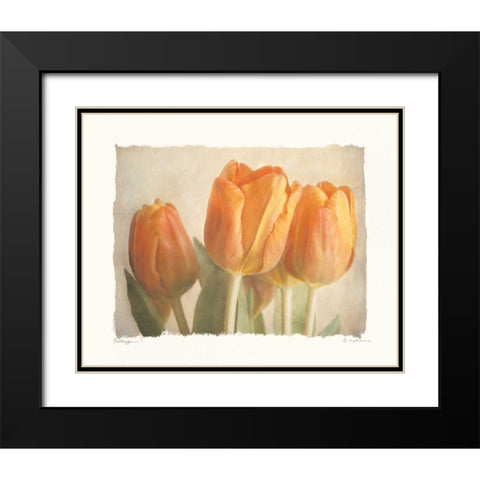 Bellezza I Black Modern Wood Framed Art Print with Double Matting by Melious, Amy