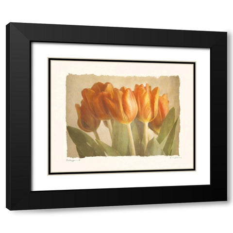 Bellezza II Black Modern Wood Framed Art Print with Double Matting by Melious, Amy