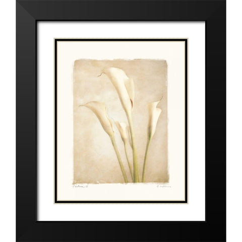 Poetica II Black Modern Wood Framed Art Print with Double Matting by Melious, Amy