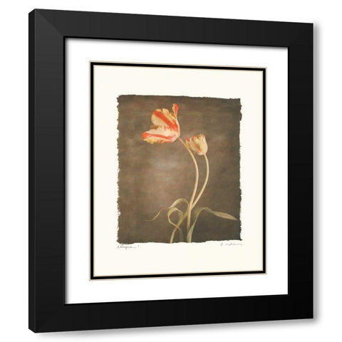 Allegria I Black Modern Wood Framed Art Print with Double Matting by Melious, Amy