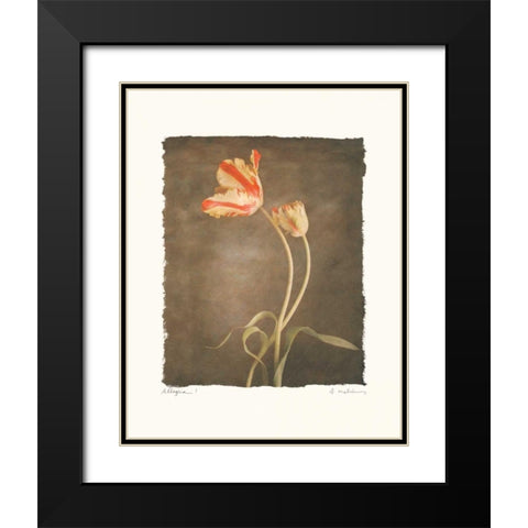 Allegria I Black Modern Wood Framed Art Print with Double Matting by Melious, Amy