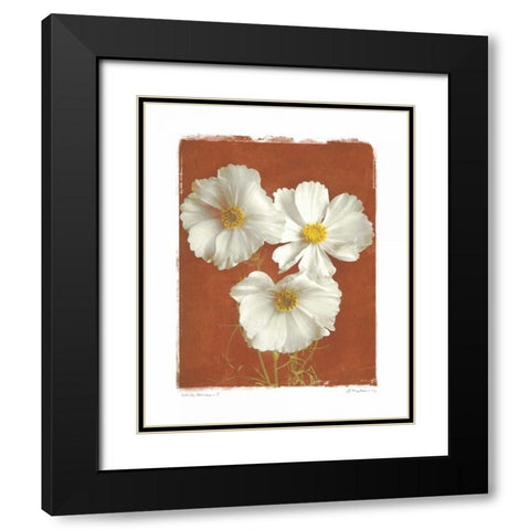 White Cosmos I Black Modern Wood Framed Art Print with Double Matting by Melious, Amy