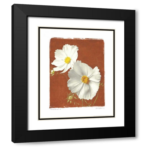 White Cosmos II Black Modern Wood Framed Art Print with Double Matting by Melious, Amy