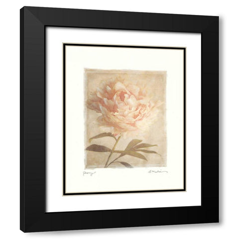 Peony Black Modern Wood Framed Art Print with Double Matting by Melious, Amy