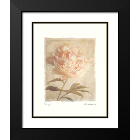 Peony Black Modern Wood Framed Art Print with Double Matting by Melious, Amy