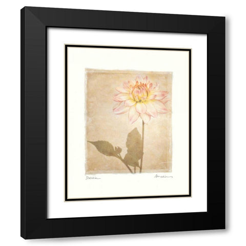 Dahlia Black Modern Wood Framed Art Print with Double Matting by Melious, Amy