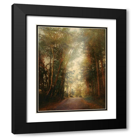 Road of Mysteries II Black Modern Wood Framed Art Print with Double Matting by Melious, Amy