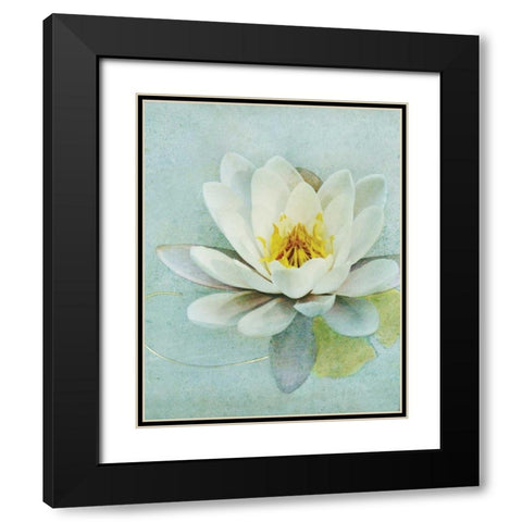 Pond Lily Black Modern Wood Framed Art Print with Double Matting by Melious, Amy