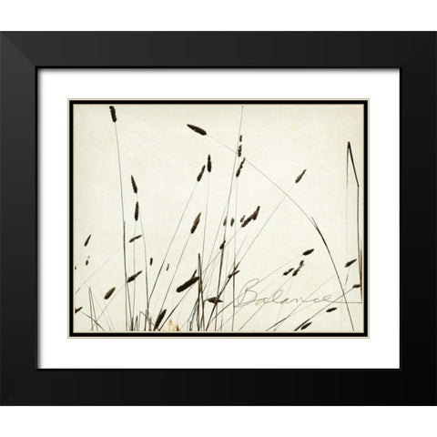 Grass Balance Black Modern Wood Framed Art Print with Double Matting by Melious, Amy