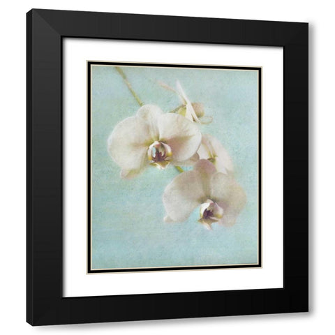Aqua Floral I Black Modern Wood Framed Art Print with Double Matting by Melious, Amy