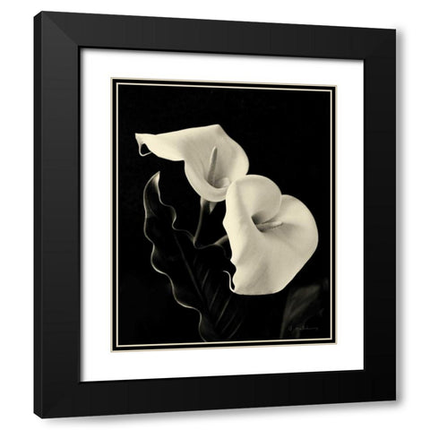 Botanical Elegance Calla IV Black Modern Wood Framed Art Print with Double Matting by Melious, Amy