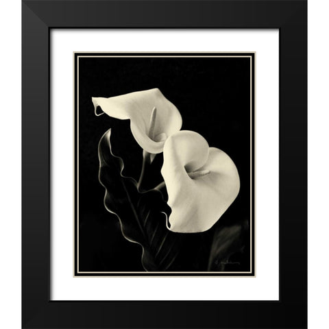 Botanical Elegance Calla IV Black Modern Wood Framed Art Print with Double Matting by Melious, Amy