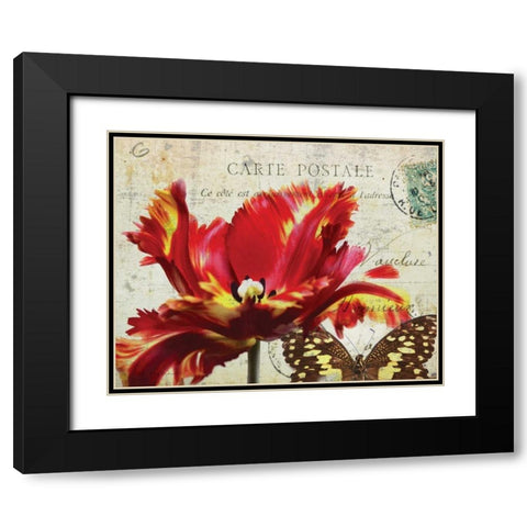 Carte Postale Tulip I Black Modern Wood Framed Art Print with Double Matting by Melious, Amy