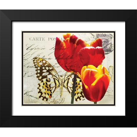 Carte Postale Tulip II Black Modern Wood Framed Art Print with Double Matting by Melious, Amy