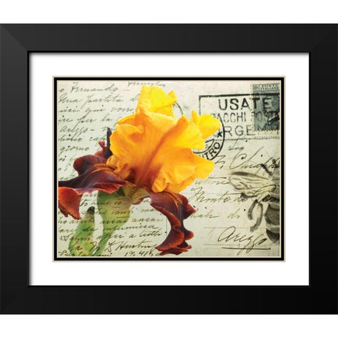 Carte Postale Iris Black Modern Wood Framed Art Print with Double Matting by Melious, Amy