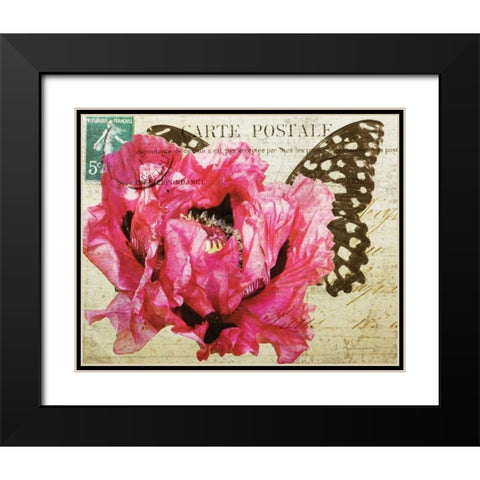 Carte Postale Poppy Black Modern Wood Framed Art Print with Double Matting by Melious, Amy