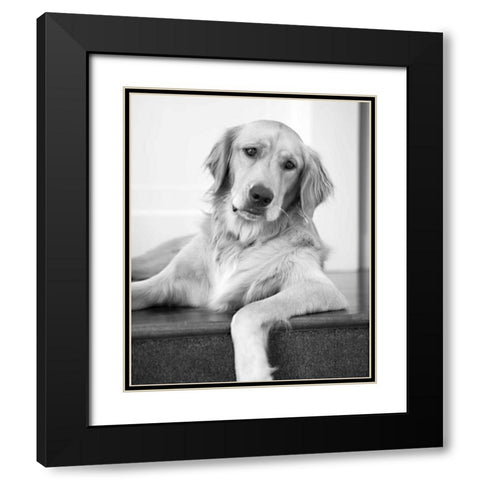 Goldie II Black and White Black Modern Wood Framed Art Print with Double Matting by Millet, Karyn