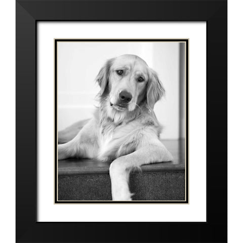 Goldie II Black and White Black Modern Wood Framed Art Print with Double Matting by Millet, Karyn