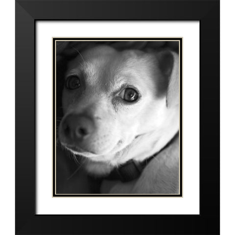 Second Glance Black and White Black Modern Wood Framed Art Print with Double Matting by Millet, Karyn