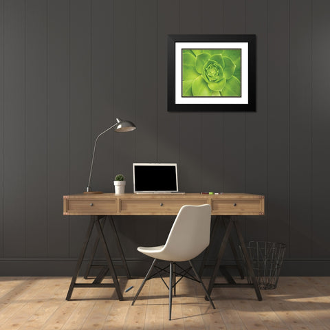 Succulent II Black Modern Wood Framed Art Print with Double Matting by Millet, Karyn