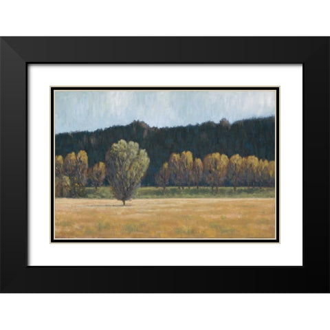 Cottonwood Country I Black Modern Wood Framed Art Print with Double Matting by Macnab, John