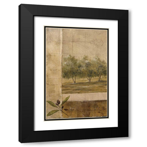 Olive Groves I Black Modern Wood Framed Art Print with Double Matting by Martin, Cheryl
