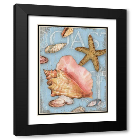 Beach Shells Coast Black Modern Wood Framed Art Print with Double Matting by Paton, Julie