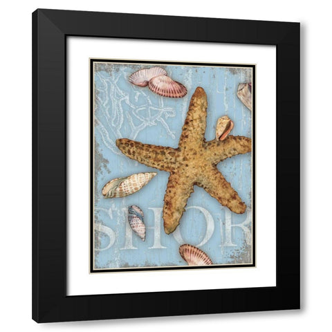 Beach Shells Shore Black Modern Wood Framed Art Print with Double Matting by Paton, Julie