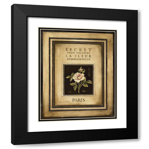 Les Fleurs de Paris I Black Modern Wood Framed Art Print with Double Matting by Poloson, Kimberly