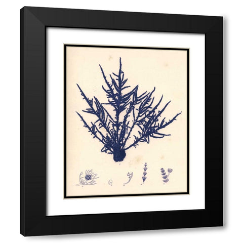 Blue Botanical Study II Black Modern Wood Framed Art Print with Double Matting by Poloson, Kimberly