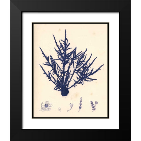 Blue Botanical Study II Black Modern Wood Framed Art Print with Double Matting by Poloson, Kimberly
