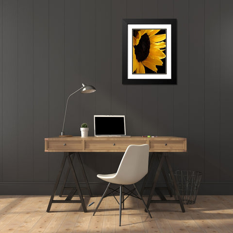 Sunlit Sunflowers II Black Modern Wood Framed Art Print with Double Matting by Burkhart, Monika