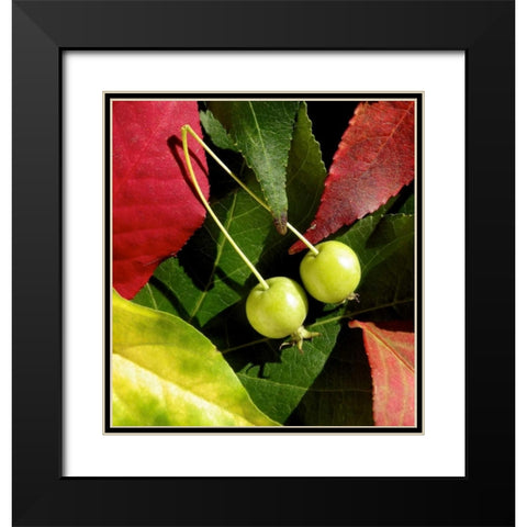 Fall Colors II Black Modern Wood Framed Art Print with Double Matting by Burkhart, Monika